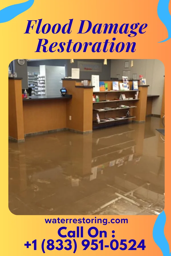 Flood Damage Restoration in Country Club Heights, IN