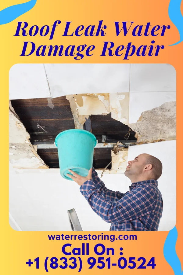 Roof Leak Water Damage Repair in Country Club Heights, IN